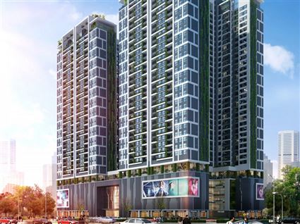 Cung cấp nẹp đồng sàn gỗ T25 và L25 cho dự án Bắc Hà